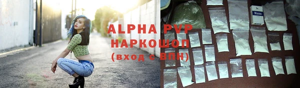Альфа ПВП Бородино