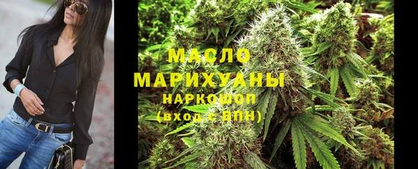 Альфа ПВП Бородино