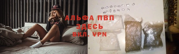 Альфа ПВП Бородино