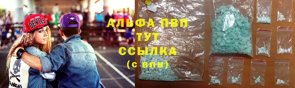 Альфа ПВП Бородино