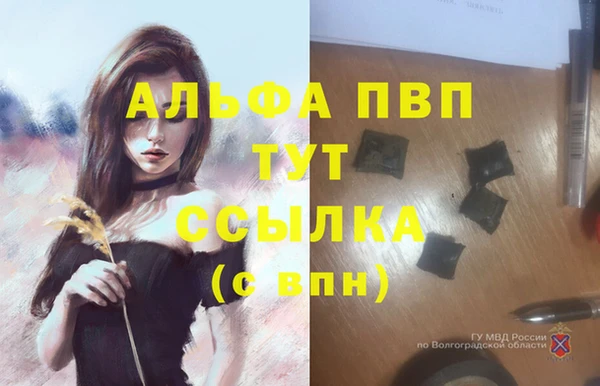 Альфа ПВП Бородино