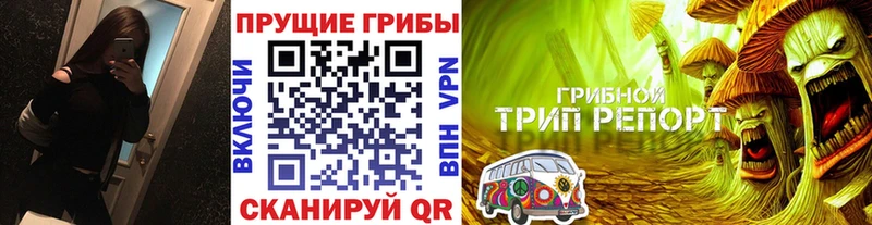 Псилоцибиновые грибы мицелий  Воркута 