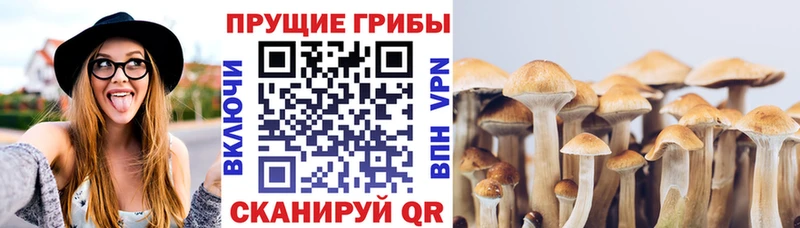 Галлюциногенные грибы MAGIC MUSHROOMS Воркута